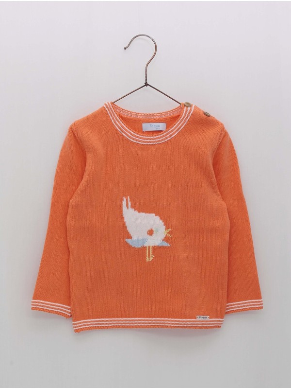 Jersey Pajarito