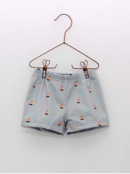 Boxer Veleros
