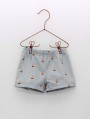 boxer sailboats