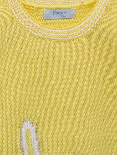 Jersey Conejito
