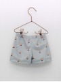 boxer sailboats