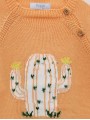 Xersei Cactus
