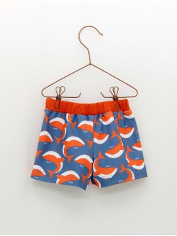 Boxer Baleas