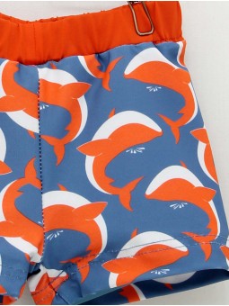 Boxer Baleas