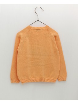 Cactus jumper