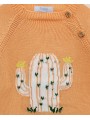 Cactus jumper