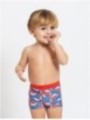 Whales Trunks