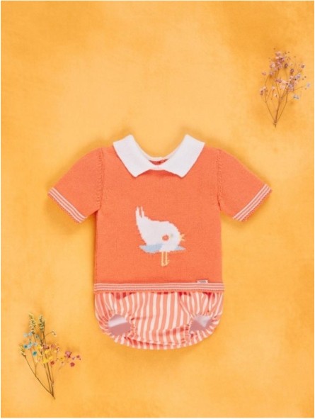 Conjunto jubón pajarito y braguita