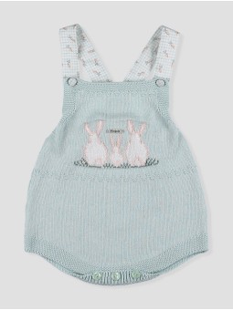 Ranita punto Campo