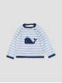 Jersey ballena