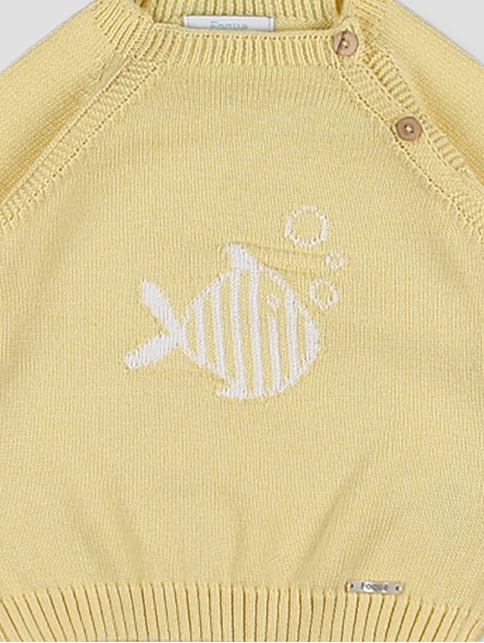 Jersey Intarsia Pez