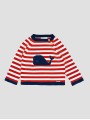 Jersey ballena